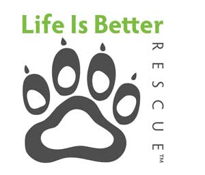Life is Better Rescue - Colorado